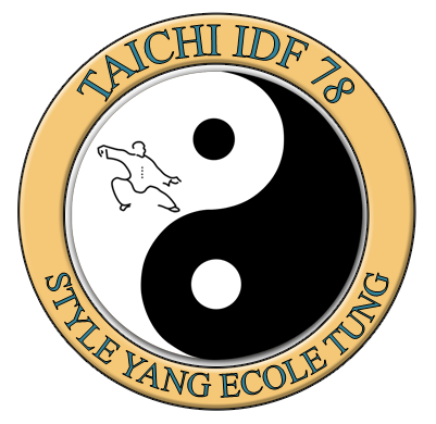 Taichi IDF 78